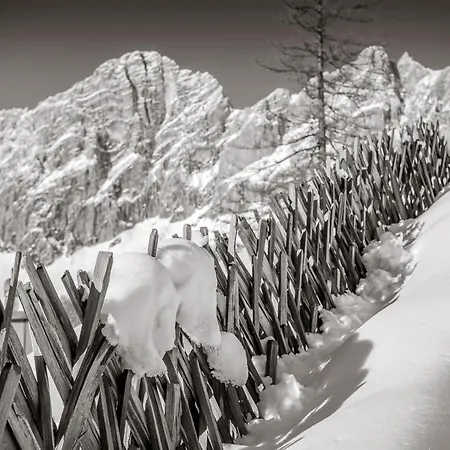 Naturchalet Höflehner Apartment