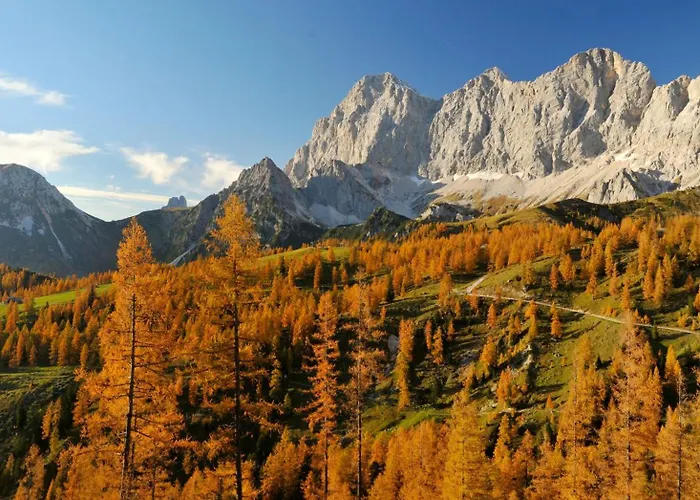 Apartamento Naturchalet Höflehner - Heimgefühl&ruhelage An Loipe&wanderweg *