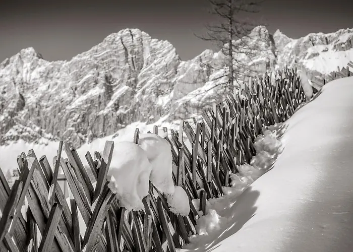 Naturchalet Hoeflehner - Heimgefuehl & Ruhelage An Loipe & Wanderweg Апартаменти